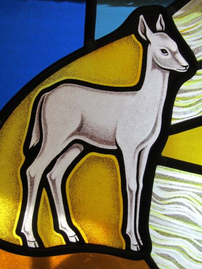 doe-patronas-from-snape-window1